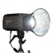 二色の Coolcam 300X モノライト スタイルの補助光ライブ ストリーミング 310W のための高輝度