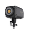 310W Coolcam 300Dフィルライト写真およびショートビデオ用の高輝度